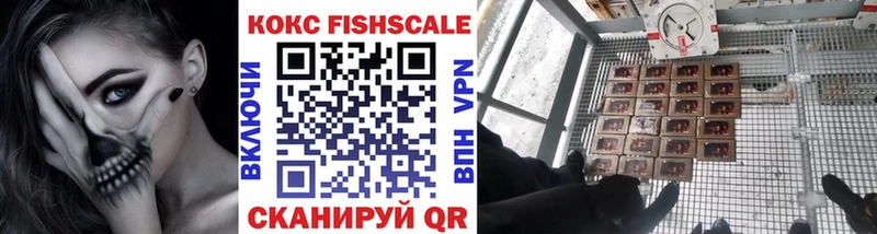 COCAIN Эквадор  Андреаполь 