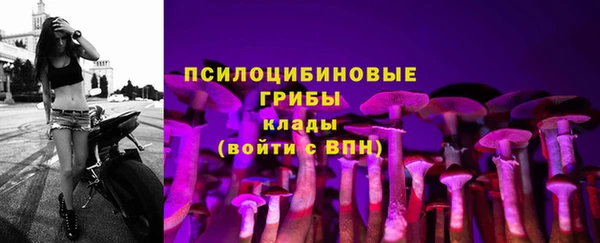 гашик Сосновка
