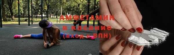 индика Сосновоборск