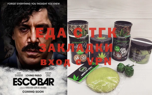 гашик Сосновка