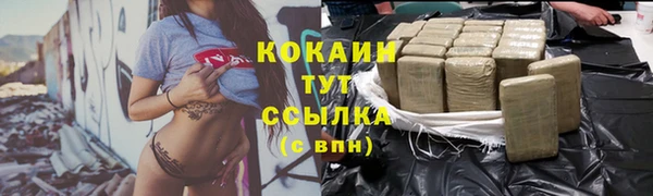 гашик Сосновка