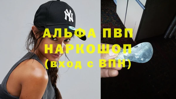 гашик Сосновка