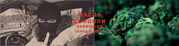 гашик Сосновка