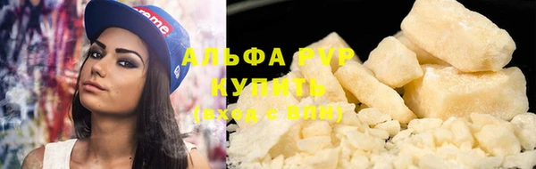 индика Сосновоборск