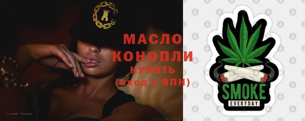 гашик Сосновка