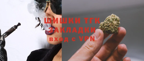 индика Сосновоборск