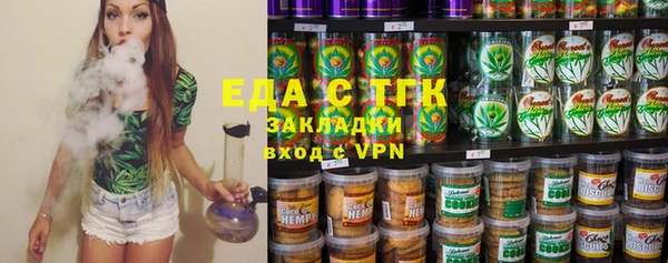 гашик Сосновка