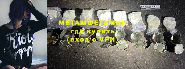 индика Сосновоборск
