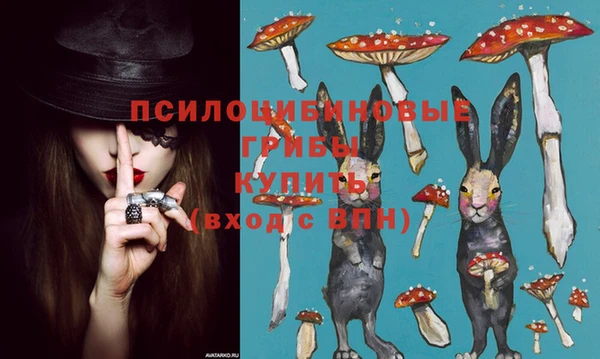 индика Сосновоборск
