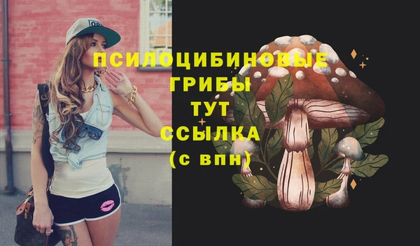 индика Сосновоборск