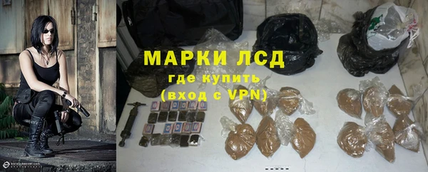 гашик Сосновка