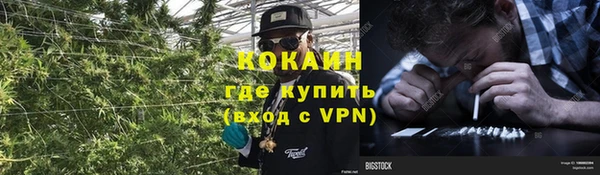 индика Сосновоборск