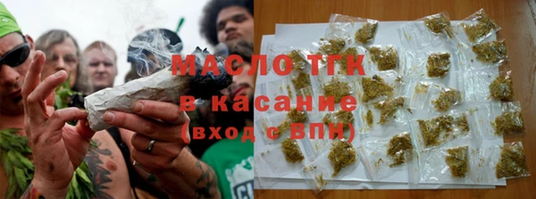 индика Сосновоборск