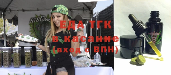 индика Сосновоборск