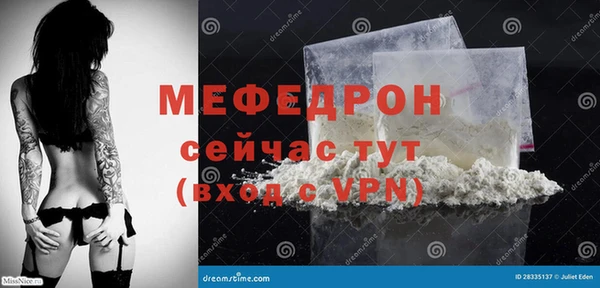 индика Сосновоборск